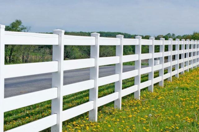 four rail ranch style vinyl fence along road with dandelions in front