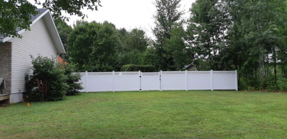 pvc vinyl privacy fence in residential backyard surrounded by trees